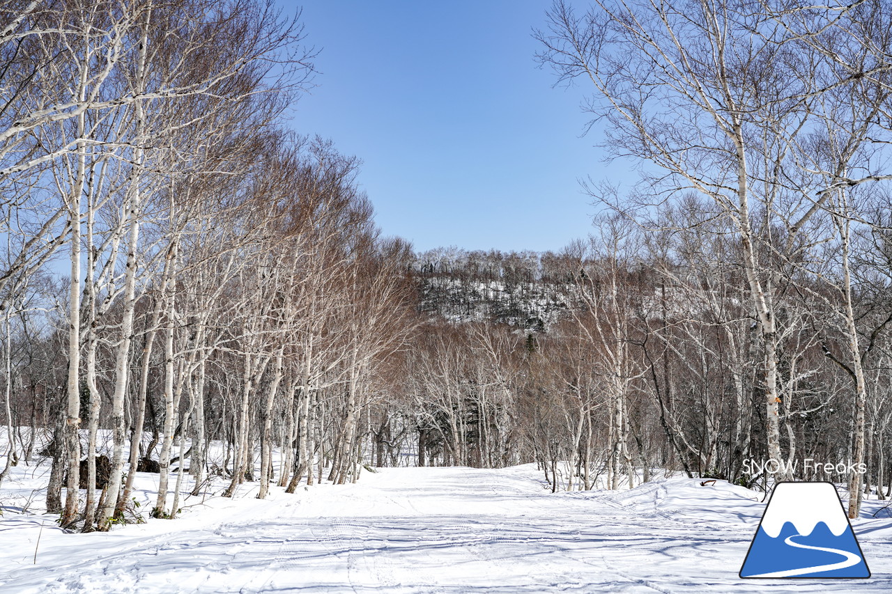 サッポロテイネ　真っ白な雪、澄んだ青空。ゴールデンウィーク２日目は、旭岳～羊蹄山まで見渡せる絶好の春スキー＆スノーボード日和に☆